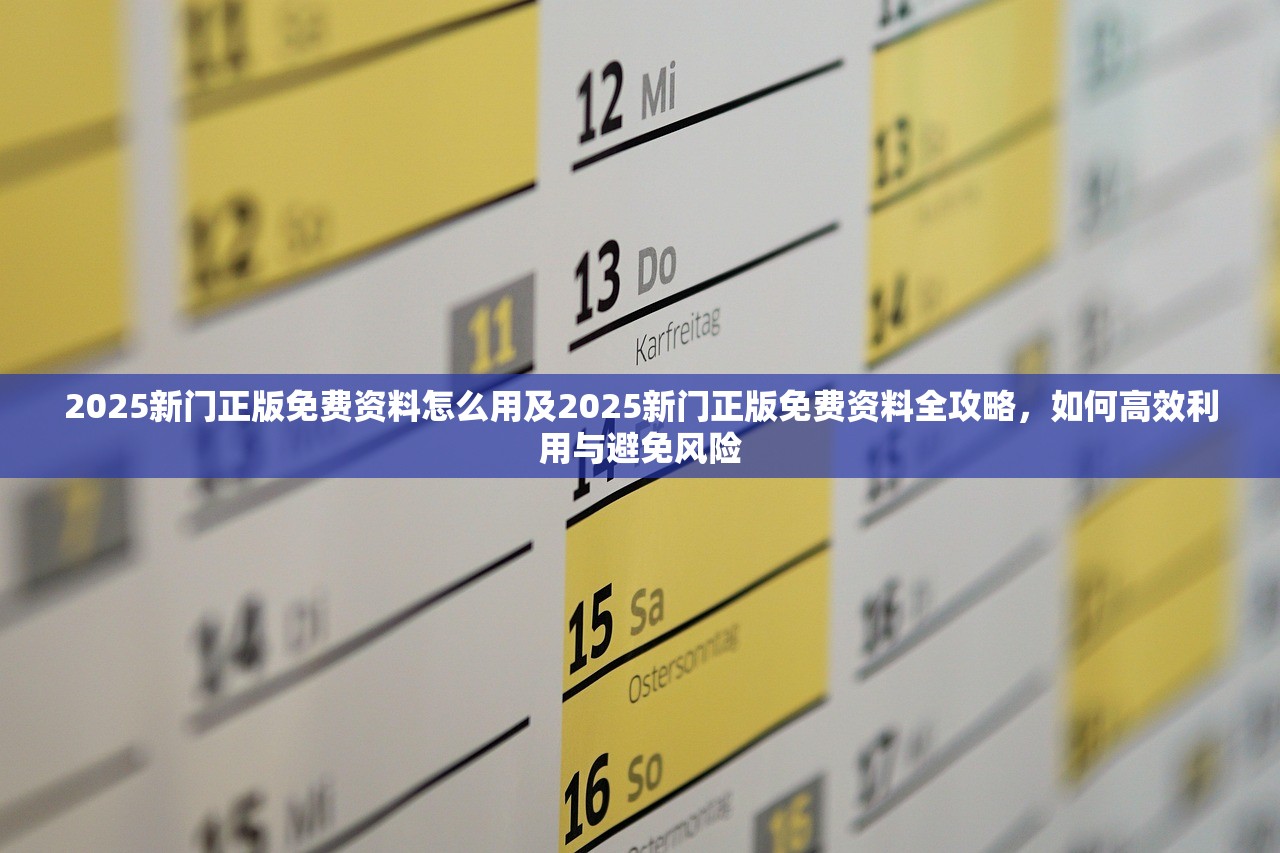 2025新门正版免费资料怎么用及2025新门正版免费资料全攻略,如何高效利用与避免风险